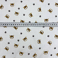 Муслін жатий 2-х "Тігри з лапками" 160 см, фото 3