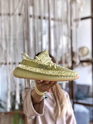 Antlia 36, фото 1