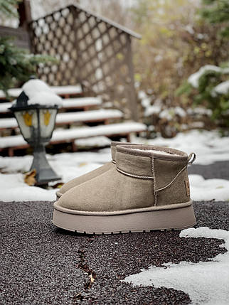 Cappuccino platform 36, фото 1