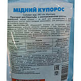 Мідний купорос 100 гр, фото 2