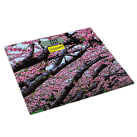 Ваги підлогові електронні до 150 кг. Maestro MR-1823 - MegaLavka