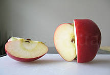 Яблуня СнепДрегон (SnapDragon), осінній сорт (преміум-класу), фото 4