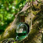 Orto Parisi Viride парфуми 50 ml. (Орто Париси Вириде), фото 3