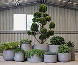 Вазон вуличний "Циліндр" для квітів та дерев, для вулиці, саду, дачі та тераси з бетону, фото 5