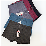 Чоловічі труси боксери Taso бавовна+бамбук 1 шт Розмір  2XL 3XL 4XL, фото 2