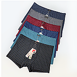 Чоловічі труси боксери Taso бавовна+бамбук 1 шт Розмір  XL 4XL, фото 2