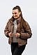 Куртка жіноча коротка капучино - фото 2 - id-p2518511805