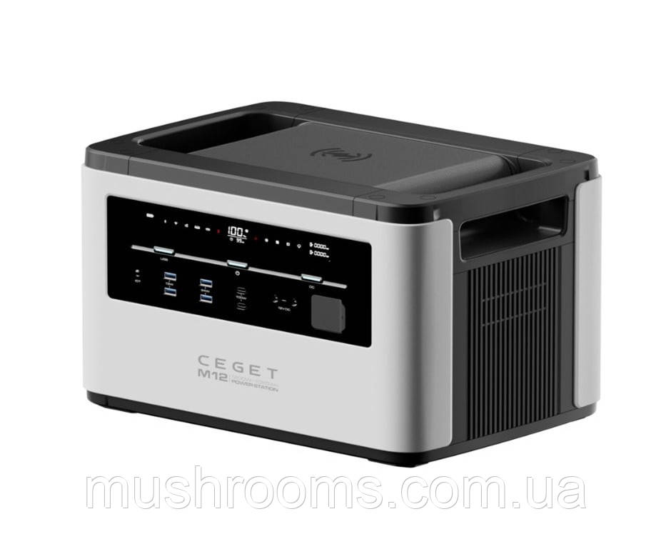 Портативна зарядна станція EM-M12 CEGET 1065 Вт-год / 168 000 мА-год, фото 1