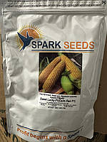 Кукурудза  Світ Лакі F1 суперсолодка рання 2500 шт США