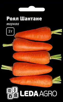 Насіння моркви Шантане Роял, 2 г — середньостиглий,LEDAAGRO, фото 1
