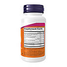 Vitamin B-50 - 250 tabs, фото 3
