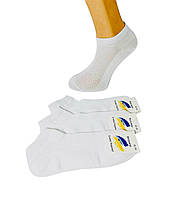 Шкарпетки чоловічі 12 пар літні сітка короткі бавовна Житомир розмір 41-44 білі