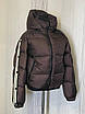 Жіноча осіння куртка XS,S,M шоколад, фото 2