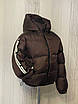 Жіноча осіння куртка XS,S,M шоколад, фото 5