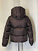Жіноча осіння куртка XS,S,M шоколад, фото 6