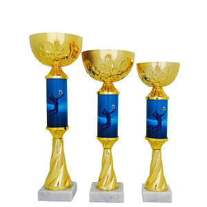 Кубок Брюссель (велейбол)