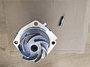 Насос водяний (помпа) ВАЗ 2101, 2103, 2106, 2107, 2121 (виробництво Авто Престиж), фото 3