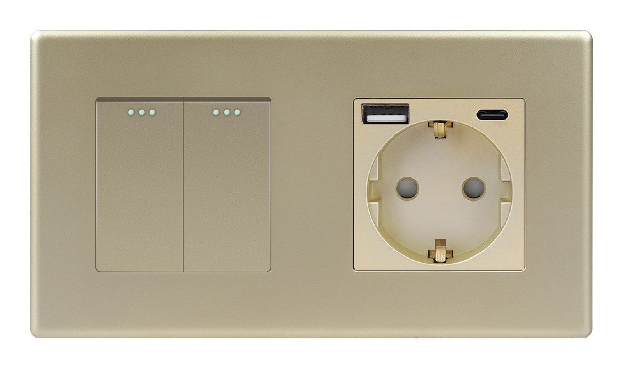 Вимикач (2кл.) + Розетка USB і Type-C 1DAL | Золото (P157-SW2G-STU2.GD)