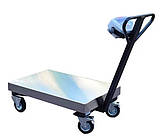 Ваги візка 300 кг