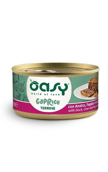 OASY CAT Wet Качка з овочами (терін)