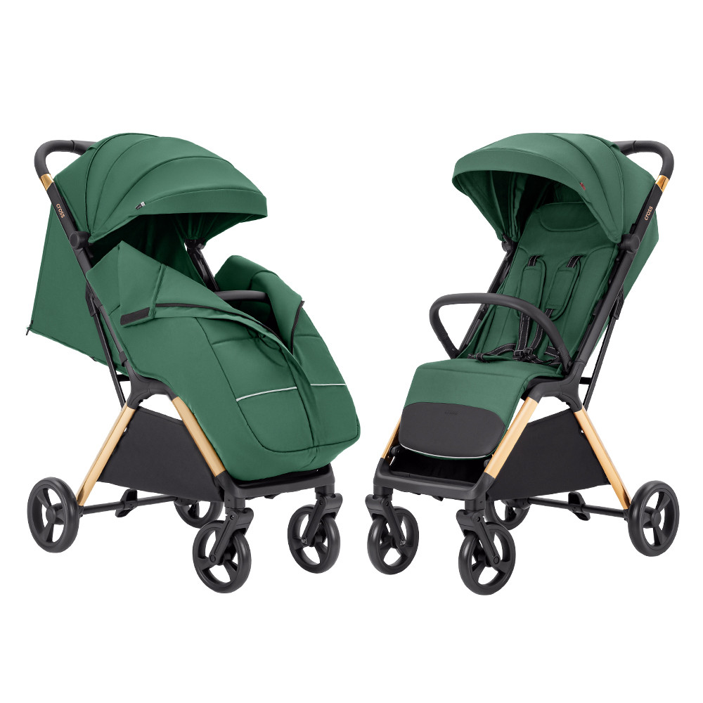 Прогулянкова коляска Carrello CRL-5523 Parrot Green