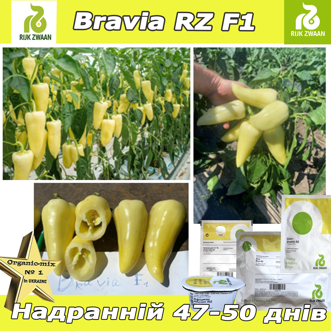 Перець надранній Бравія / Bravia RZ F1, ТМ Rijk Zwaan (Нідерланди), фото 1