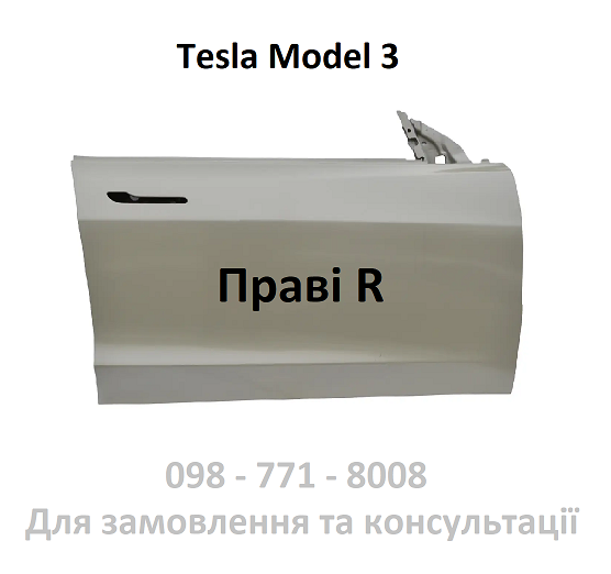 Двері передні праві в заводській ґрунтовці Tesla Model 3 (1081420-E0-C) Якість А-