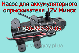 Насос для акумуляторного обприскувача Мінськ (з подарунком)