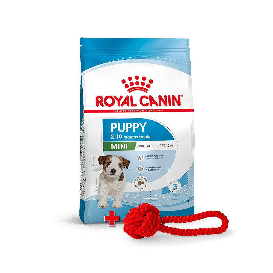 Іграшка в подарунок! Royal Canin Mini Puppy сухий корм для цуценят дрібних порід, 2 КГ