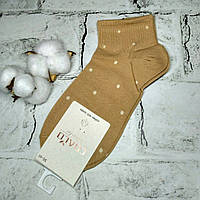 Шкарпетки жіночі бавовняні короткі Крапочка 36-41р Бежеві BY7116-4