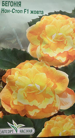 Бегонія Нон Стоп F1 Жовта 5шт, фото 1