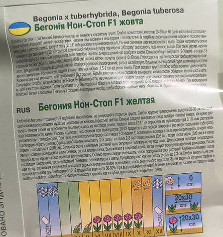 Бегонія Нон Стоп F1 Жовта 5шт, фото 2