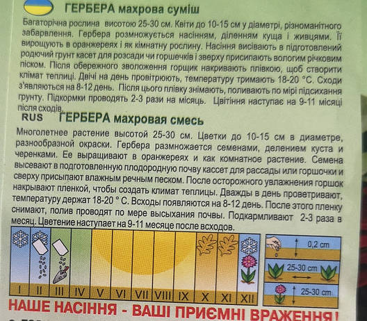 Гербера суміш 3шт, фото 3