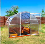 Полікарбонат, стільниковий, для господарських теплиць, парників, розсадників, (6мм) прозорий,   OSCAR STANDARD (Сербія), фото 3