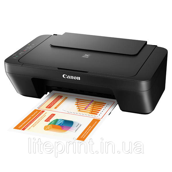 Принтер струйный Canon PIXMA MG2550 - фото 1 - id-p458135117