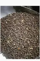 Насіння Вика 1кг