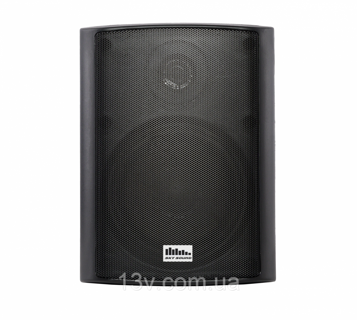 Настінна акустика SKY SOUND NS-30B/TB