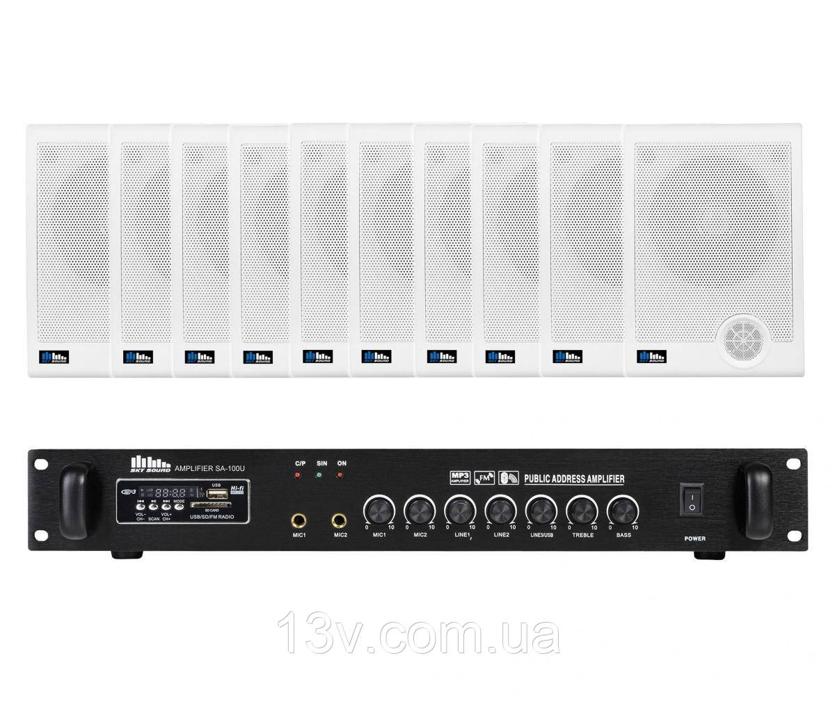 Акустичний комплект SKY SOUND WS-2010