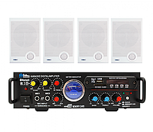 Акустичний комплект SKY SOUND WSM-2004