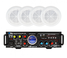 Акустичний комплект SKY SOUND CSM-2504