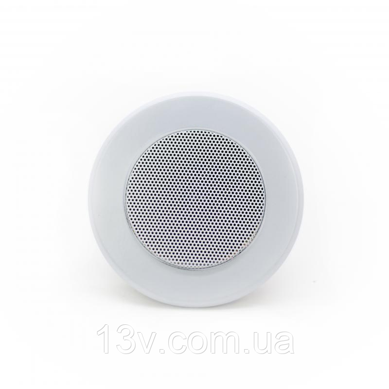 Стельовий динамік SKY SOUND TS-1010W