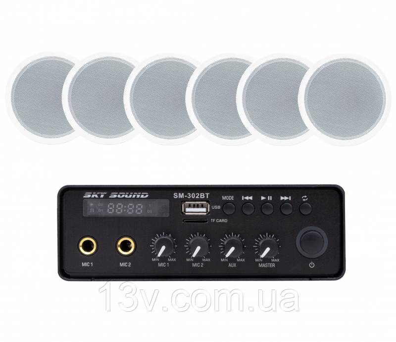 Акустичний комплект SKY SOUND SMS-3106