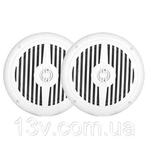 Всепогодний стельовий динамік SKY SOUND MS-06TW (Pair), фото 1