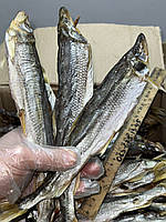 Корюшка в'ялена 30см