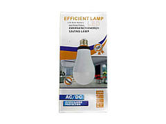 Акумуляторна лампа 12W E27 LED RA-800MA-12W-2 ТМ ENERGY SAVING