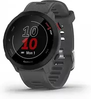 Спортивний годинник Garmin Forerunner 55 Monterra Grey (010-02562-13)