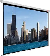 Проекційний екран AvTek Video PRO 200 BT