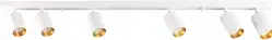 Світильники на рейці Sanico Lampa Sufitowa Reflektor Biało Złota 6Xgu10 Spot (San_321244)