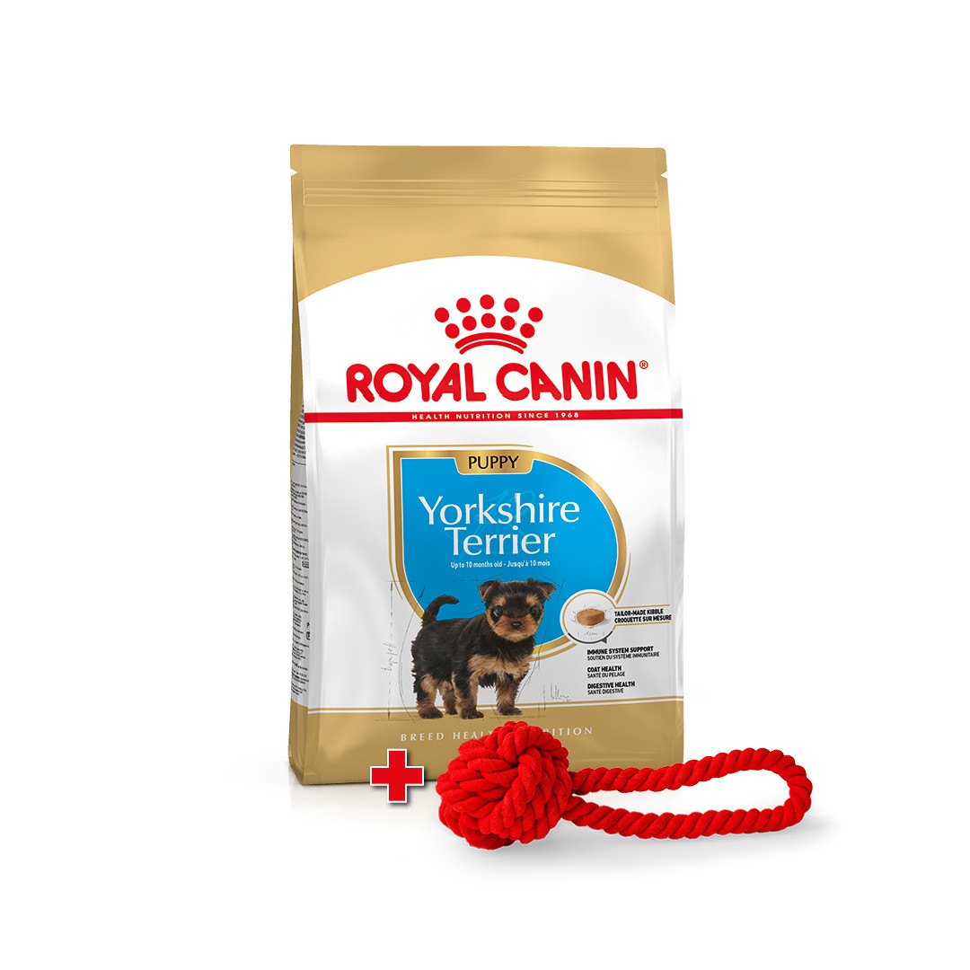 Акція! Іграшка у подарунок! Royal Canin Yorkshire Terrier 29 Puppy сухий корм для цуценят, 1.5 КГ