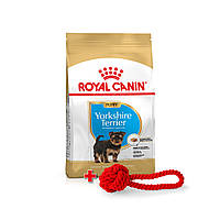Акція! Іграшка у подарунок! Royal Canin Yorkshire Terrier 29 Puppy сухий корм для цуценят, 1.5 КГ